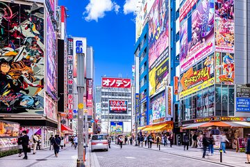 Guided Tour Exploring Anime and Electronics in Akihabara