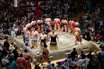 Ultimate Sumo Grand Tour: Lunch, Tickets & Sumo Expert Provided