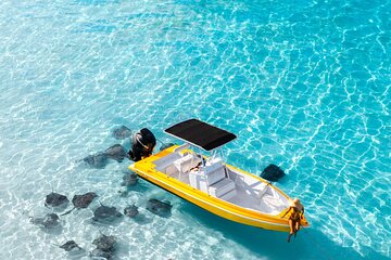 Private Boat Tours: Customize Your Grand Cayman Adventure!