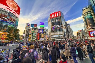 Private Full-day Tokyo Walking Subway Tour by Japan Gray Line