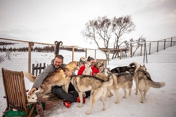 Husky Petting, in Akureyri