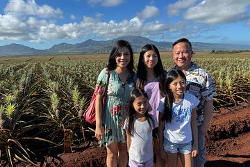 North Shore Dole Pineapple Farm Tour