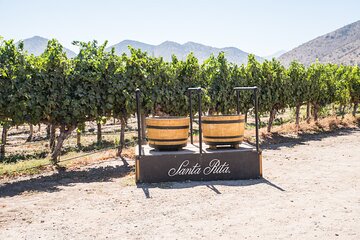 Premium Wine Tasting and Tour at Santa Rita + Private Transport