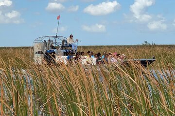 Everglades Airboat Tour with Roundtrip Transportation from Miami