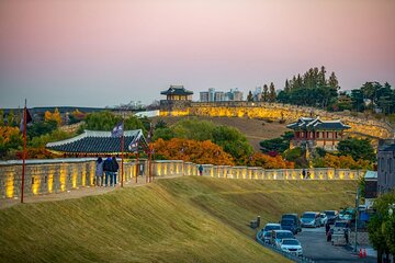 Full Day Suwon Hwaseong and Yellow Spring Flower Festival Tour