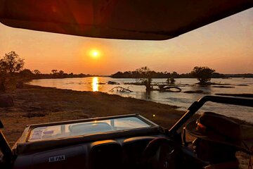 Safari Game Drive 3 Hours in Victoria Falls