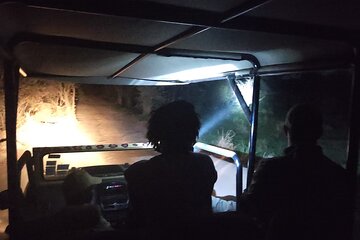 Private 4x4 Stargazing and Flashlight Experience in the Bush 