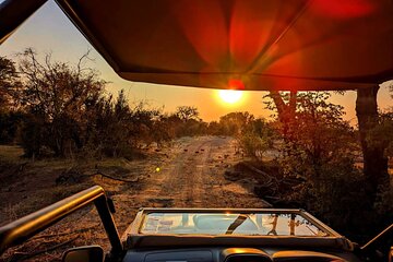 Safari Game Drive in National Park, Zimbabwe