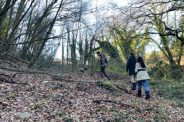 3 Hours Truffle Hunting with Pasta Cooking Class and Lunch