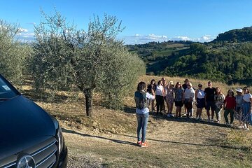 Volterra Tour + salt mine by van from Lucca, Pisa or Livorno port