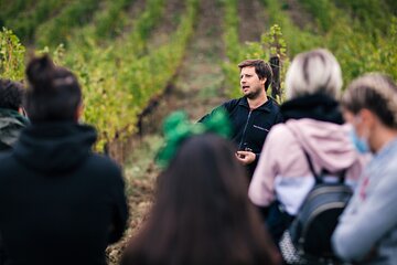  Wine Tasting Experience near Florence