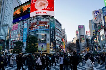 Meiji Shrine to Shibuya crossing with lunch and dessert