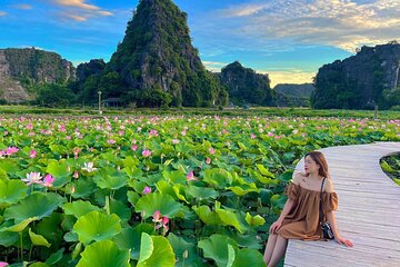 Ninh Binh Luxury Day Tour: TRANG AN – MUA CAVE – BICH DONG