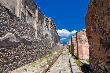 Pompeii and Vesuvius Wine Tasting Private Tour