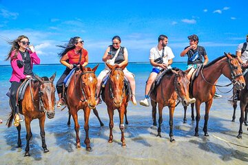 Shared Tour in Ocho Rios with Horseback Riding and Swimming