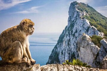 Full Day Tour to Gibraltar from Torremolinos or Benalmádena