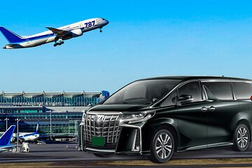 Tokyo Narita Airport (NRT) Transfer Private Transfer(Single way)