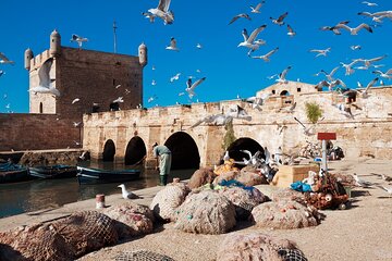 Discover Essaouira: Guided Day Trip from Marrakech Shared Group