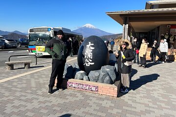 Private bus and guided tour of Hakone Tokyo/Yokohama to Tokyo 9 hours 5-25 people