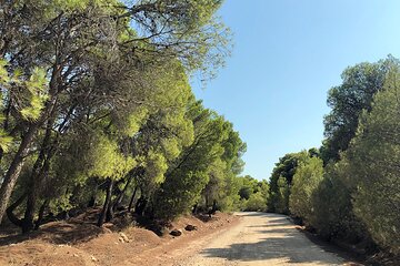 Private Tour to Athens Riviera and Cape Sounion