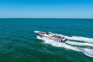 Sea Rocket Speed Boat & Dolphin Cruise in Ocean City