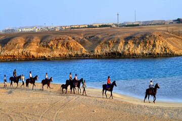 2-Hours Marsa Alam Horse Riding In the Desert & On the Beach 