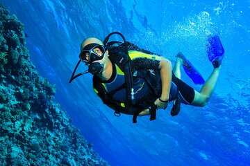 Open Water PADI Course With Transfer - Sharm El-Shaikh