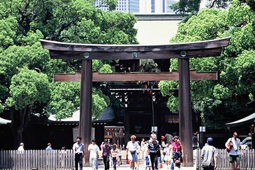 Private Guided Half Day Walking Subway Tour in Tokyo 