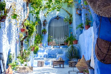 6 Day Tour from Tangier to Chefchaouen Fes and Asilah 