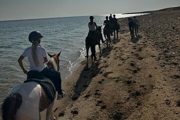 Sunrise desert and sea horseback riding with transfer Marsa Alam