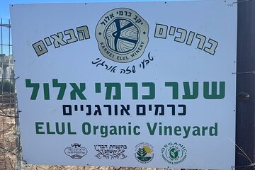 Private Historical Wine Tour from Jerusalem