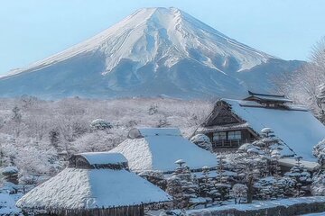 One day Fully customized tour Mount Fuji and Hakone