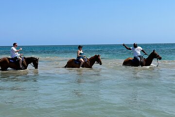 Private Horseback Riding And Ricks Cafe Sunset Tour