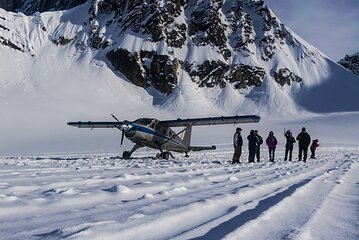 Half Day Glacier Landing Flight and Restaurant