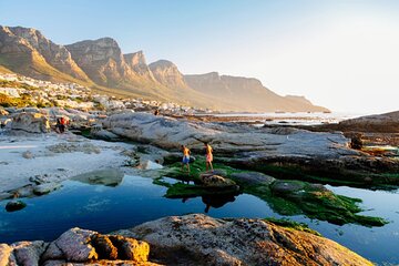 Cape Peninsula Day Tour