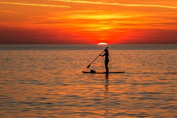 Paddle Board Rental: Glide on the Water with Ease