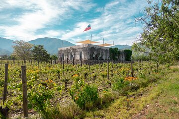 Private Tour to Maipo or Casablanca Boutique Wineries