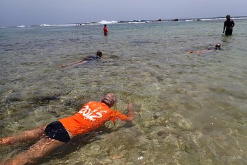 A Private and Guided Snorkeling Diving at Pointe des Châteaux