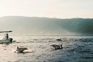 Dolphin Watching at Lovina Beach and North Bali Sightseeing Tour