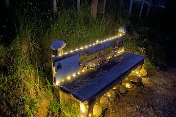 Twilight dining and forest lights at Tree Heart Park