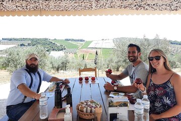 Olive Grove and Winery Excursion from Athens