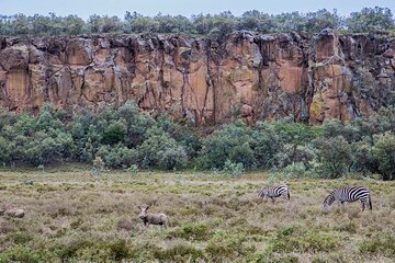 1 Day trip to Hells Gate National Park and Lake Naivasha