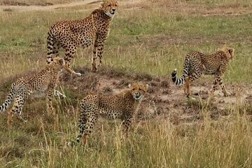 Group Joining Day tour to Amboseli