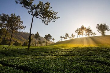 15 Days Private Tour in North India Mumbai and Kerala