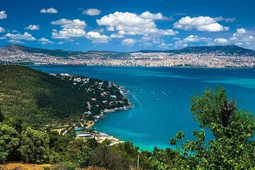 Princes Island Tour From Istanbul with Lunch