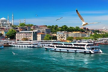 Istanbul Bosphorus Morning & Sunset Guided Cruise Tour