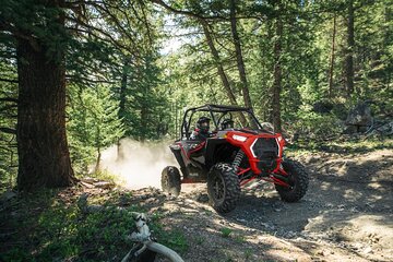 Adventure Kart Expedition- Ketchikan, AK