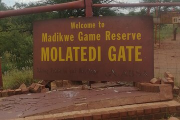  Madikwe Transfer from Johannesburg and Pretoria 