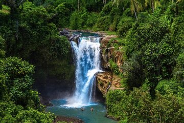  Best of Ubud Tours with Jungle Swing ( All Inclusive )