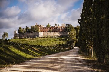 Siena and Chianti Castle with Lunch&WineTasting from Florence